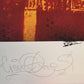 Edition 3D "Notre - Dame"signature Michel "Cren" Pietsch