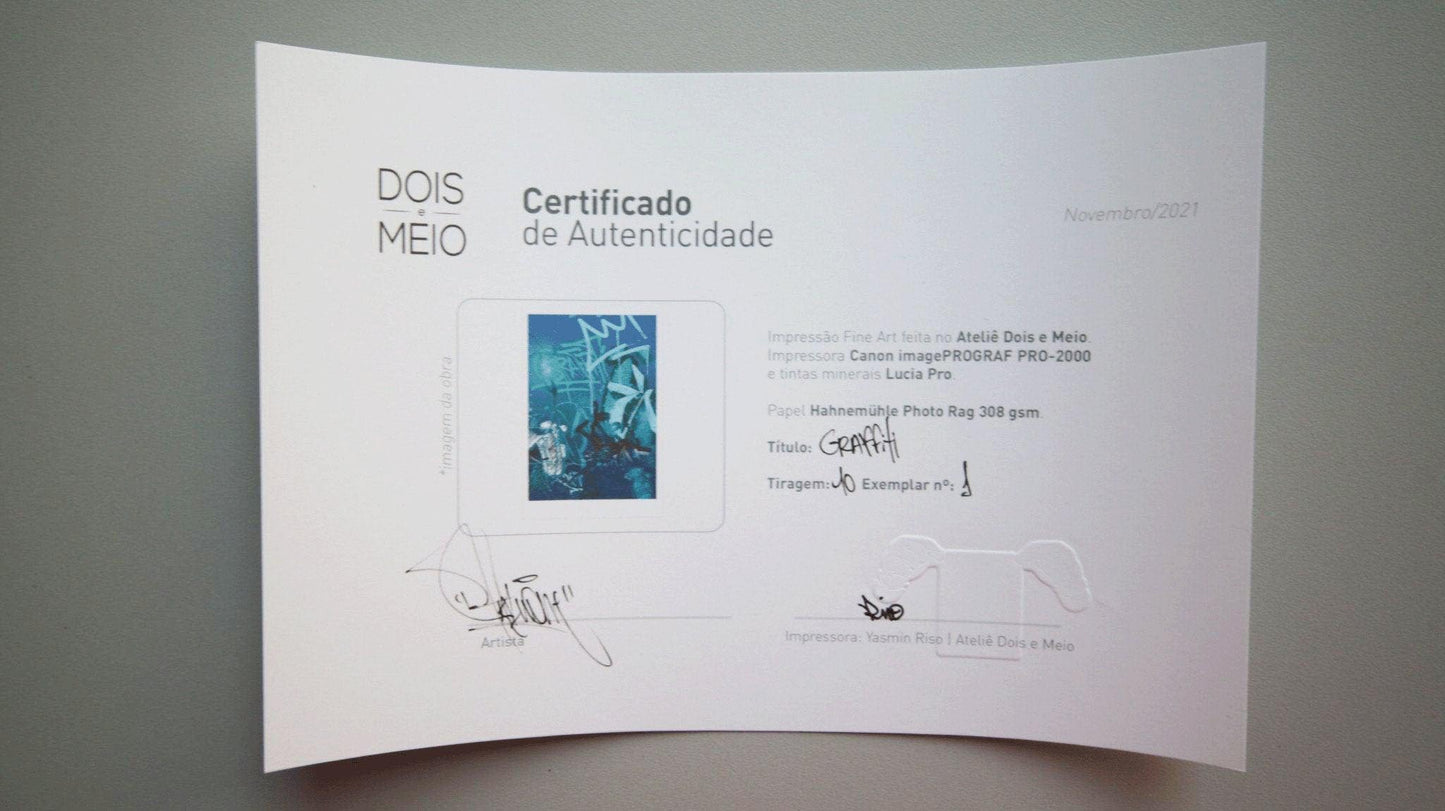 certificat FELIPE TALU Graffiti
